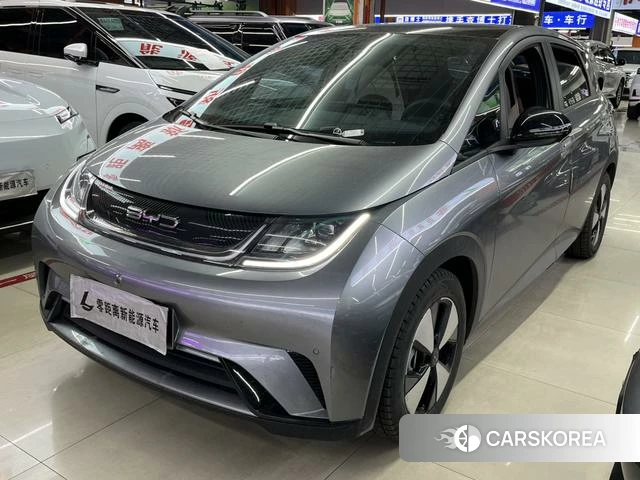 BYD dolphin id 4208734 из Китая 7