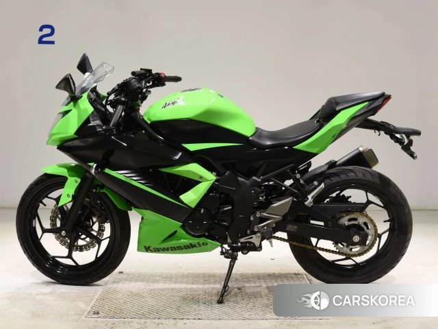 Проданный Kawasaki NINJA 250SL 2015 из Японии, фото 2