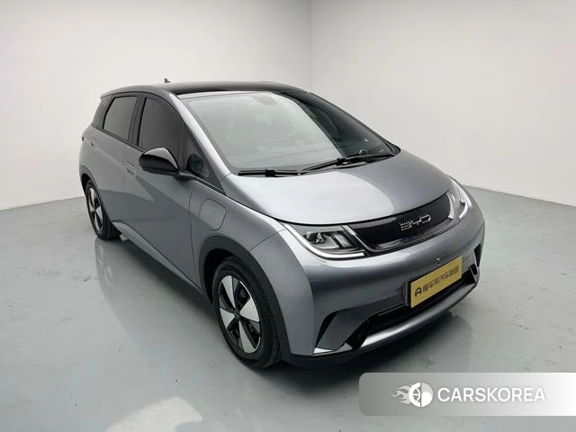 BYD dolphin id 4236414 из Китая 12