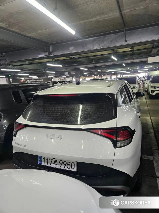 Kia Sportage 5th Generation 2023 Белый из Кореи, фото 3