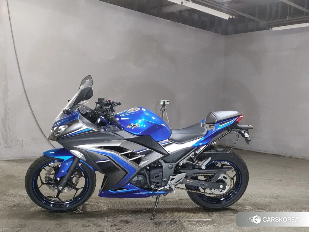 Проданный Kawasaki NINJA 250 2016 из Японии