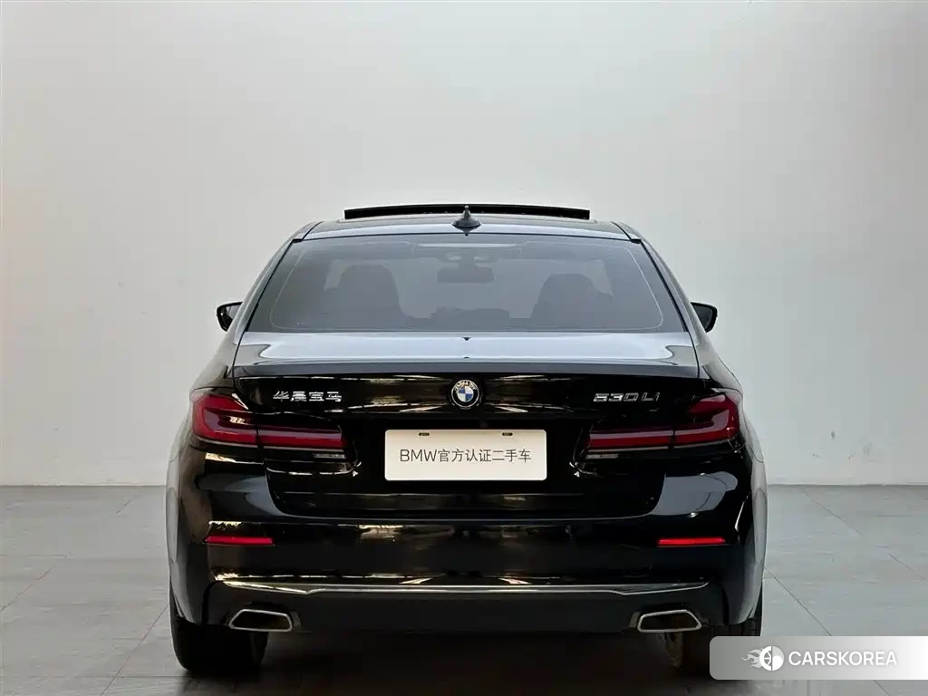 BMW 5 series id 4578189 из Китая 10