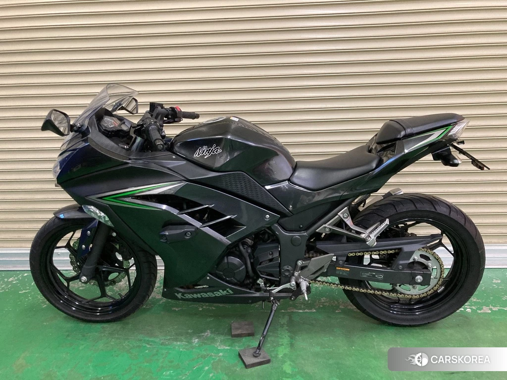 Проданный Kawasaki NINJA 250 2016 из Японии