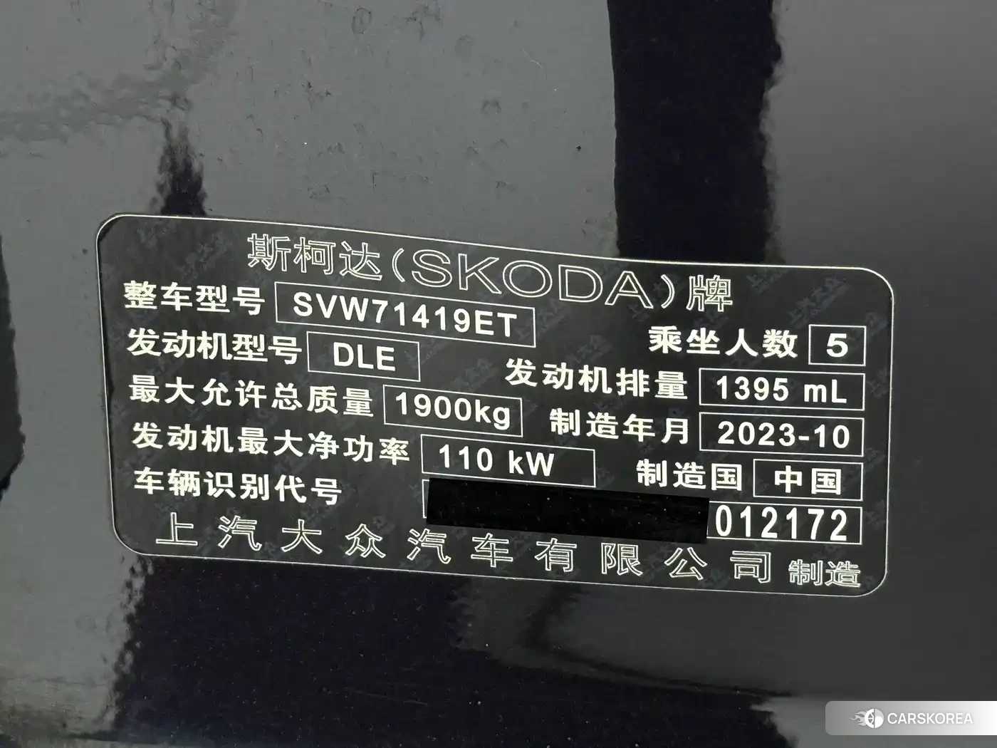 Skoda Speed pie id 4548244 из Китая 12