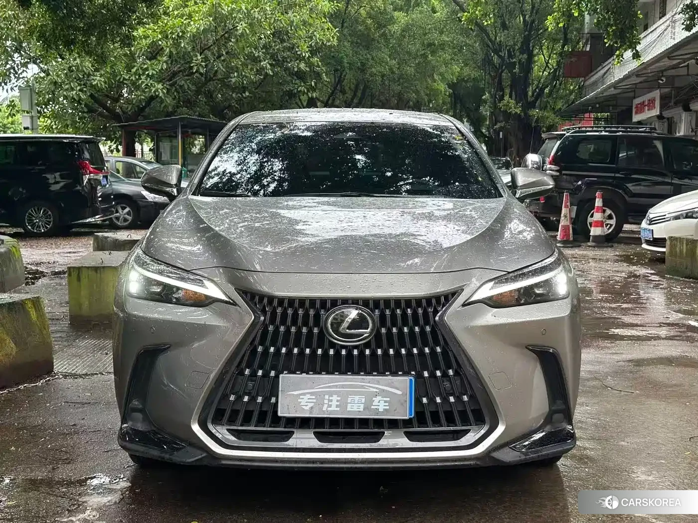 Lexus NX 2025 Silver/gray из Китая, фото 3