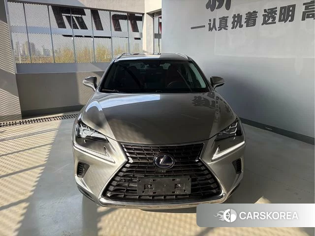 Lexus NX 2019 Шампань из Китая, фото 4