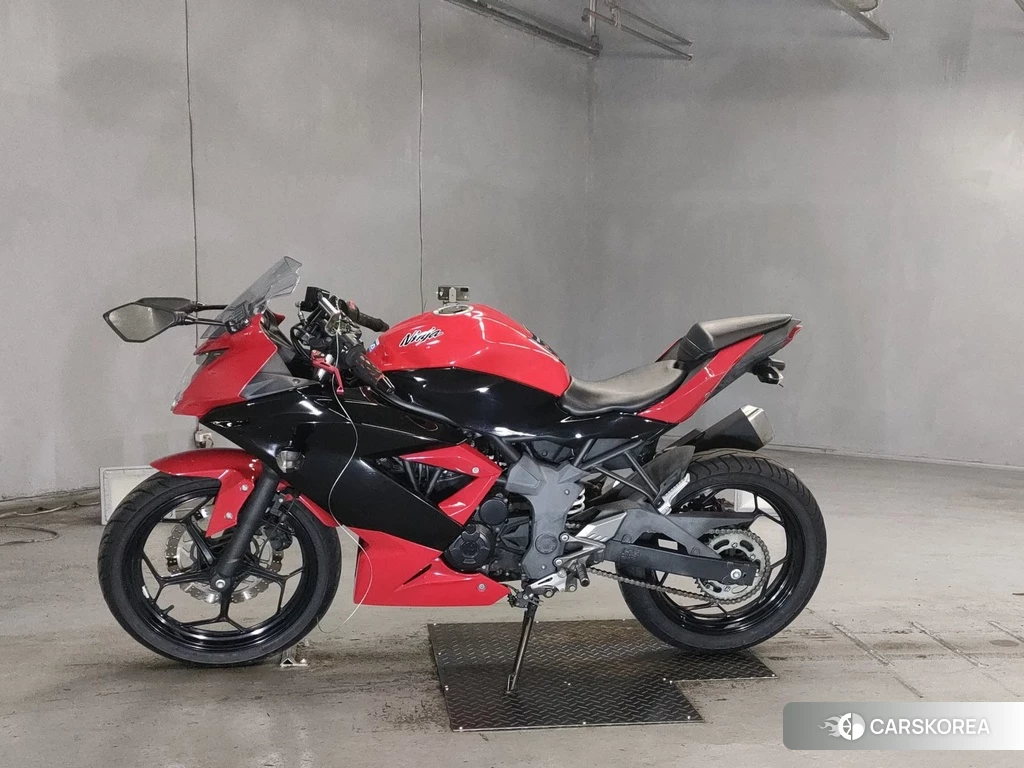 Проданный Kawasaki NINJA 250SL 2015 из Японии