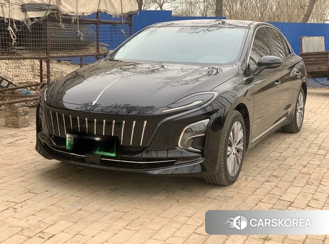 Red flag E-QM5 2025 Черный из Китая, фото 2