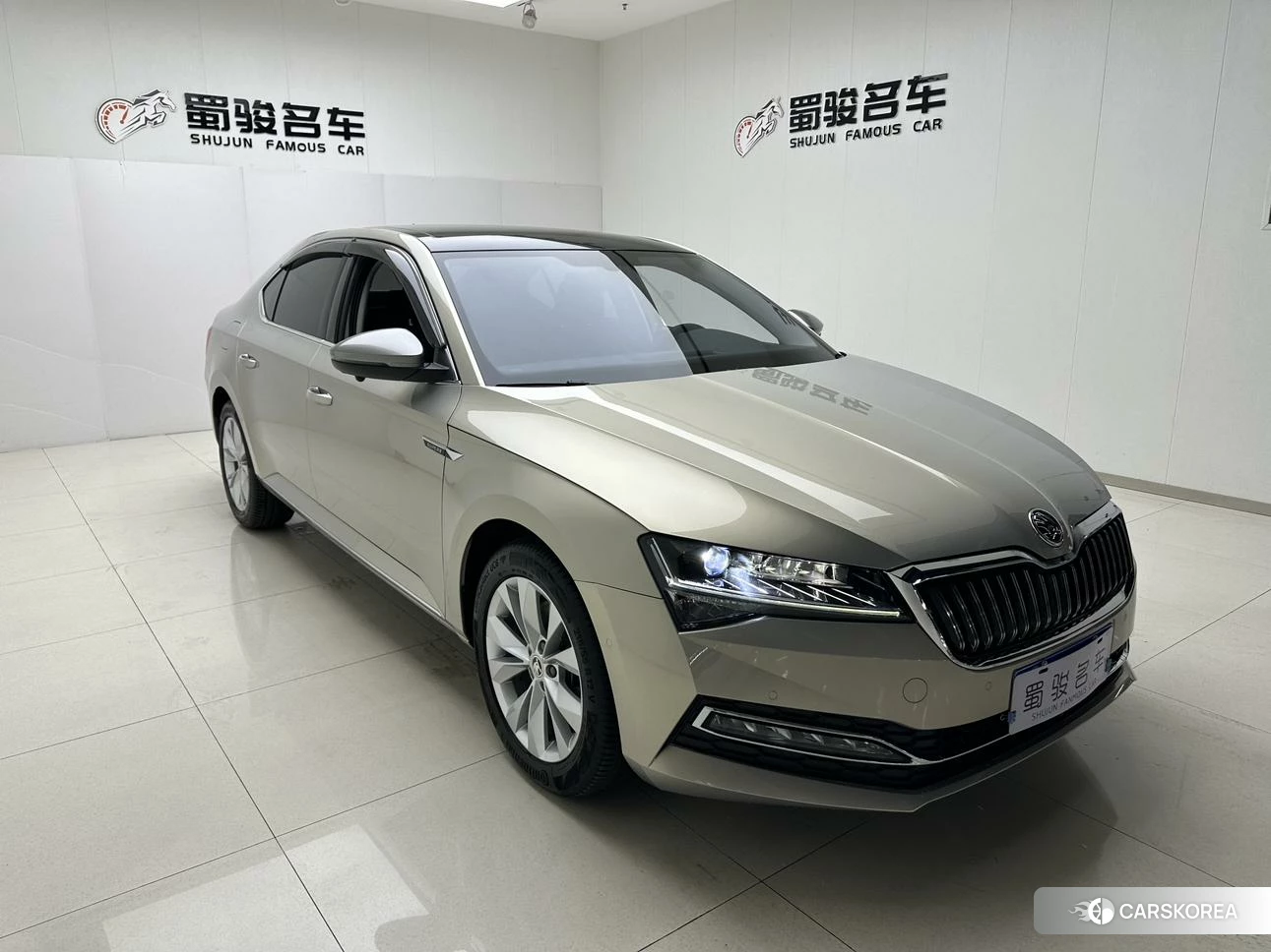 Skoda Speed pie id 4420812 из Китая 11