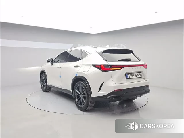 Lexus NX350h Second generation id 3560409 из Кореи 12