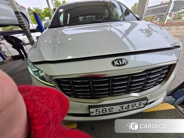 Kia The New Carnival 2018 Белый из Кореи, фото 2