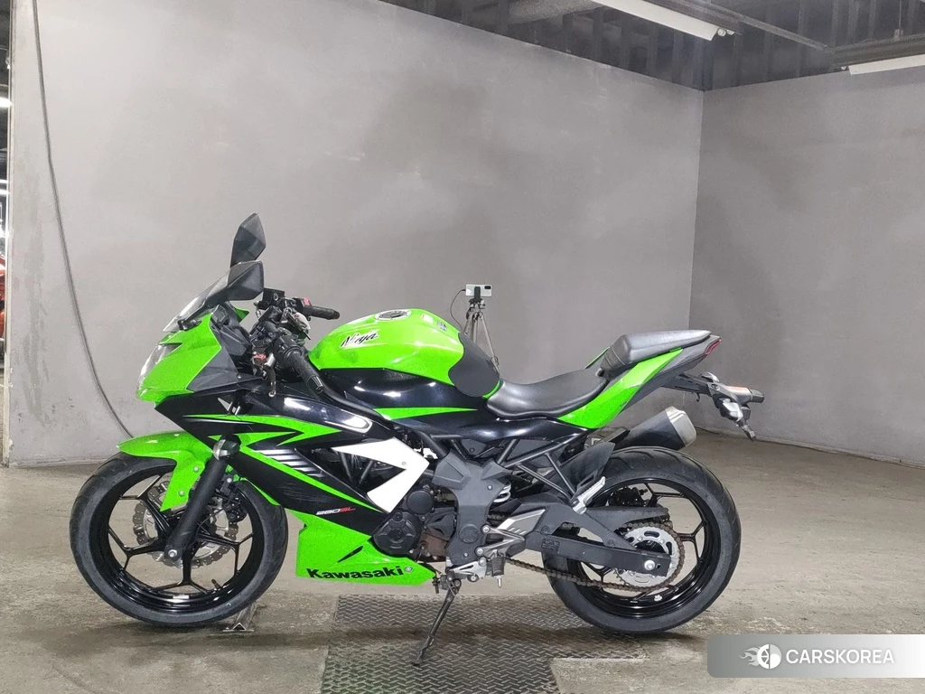 Проданный Kawasaki NINJA 250SL 2015 из Японии