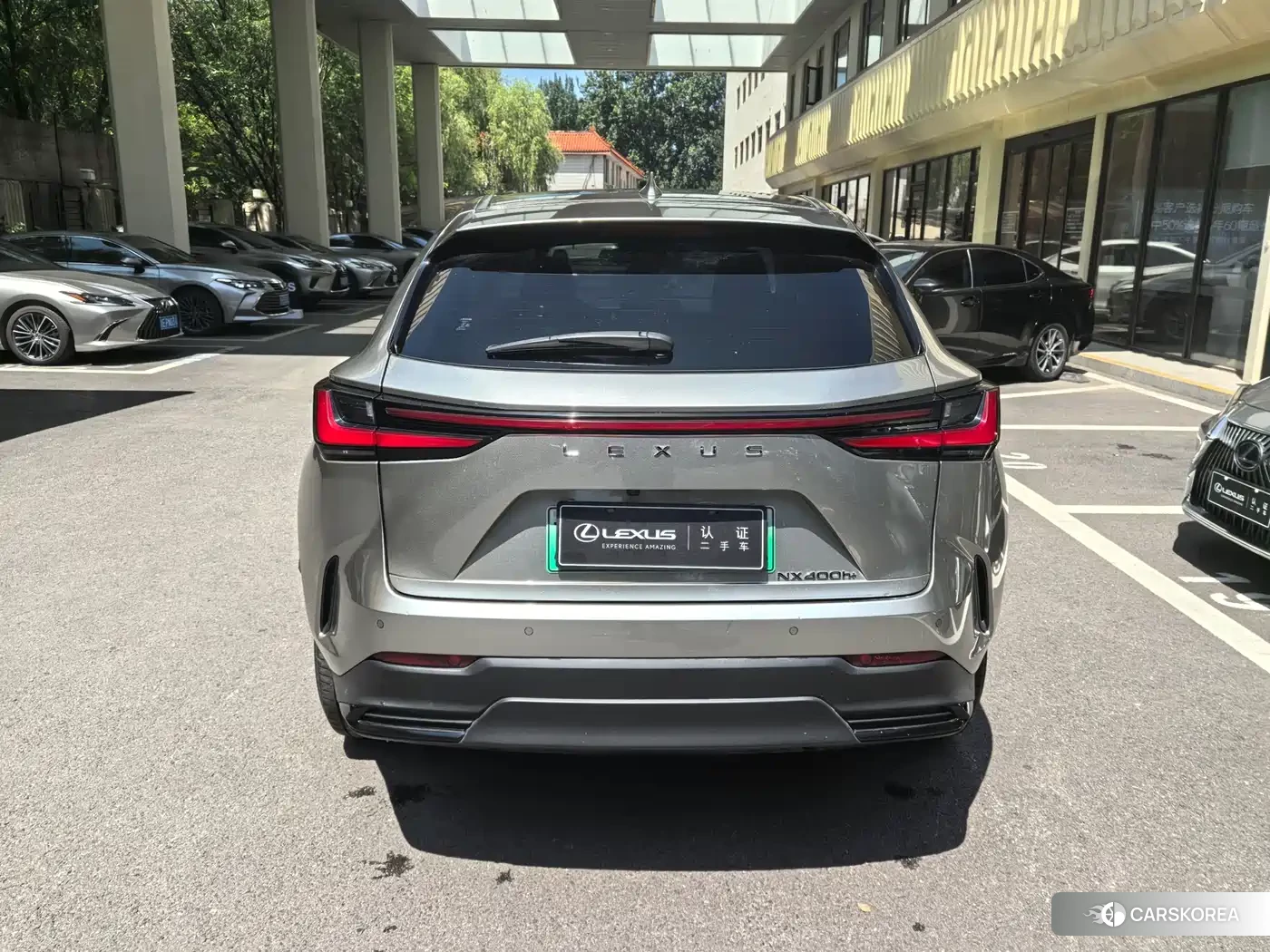 Lexus NX New Energy 2022 Silver/gray из Китая, фото 2