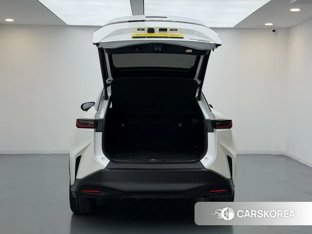 Lexus RZ id 4219336 из Китая 12