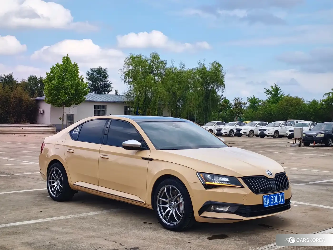 Skoda Speed pie 2018 Yellow/orange из Китая, фото 2