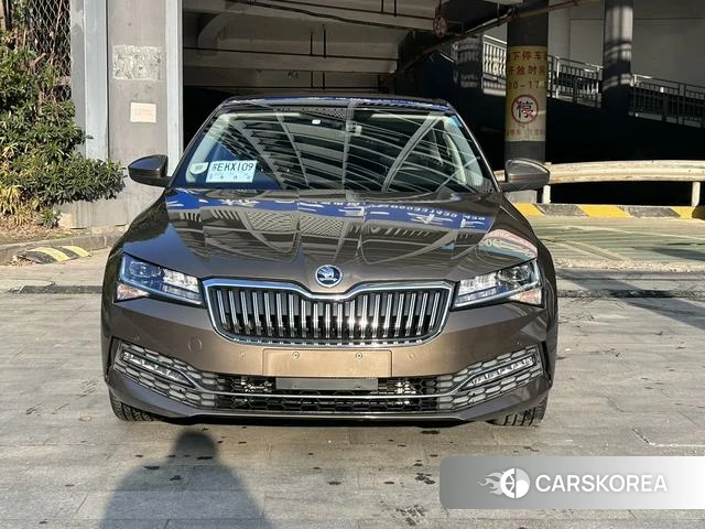 Skoda Speed pie 2020 Коричневый из Китая, фото 2