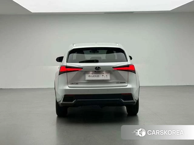 Lexus NX id 4298286 из Китая 10