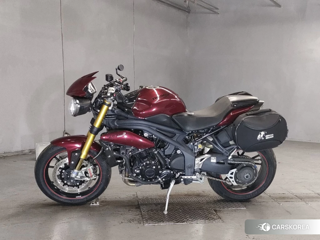 Проданный Triumph SPEED TRIPLE R 2014 из Японии