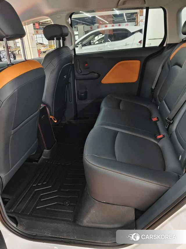 Pentium NAT 2025 Белый из Китая, фото 2