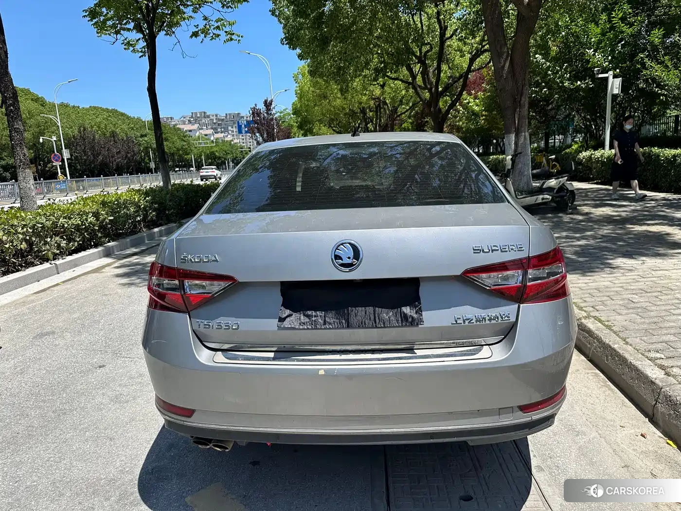 Skoda Speed pie id 4576643 из Китая 8