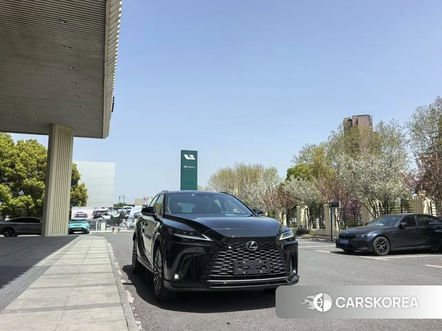 Lexus RX id 4274147 из Китая 9