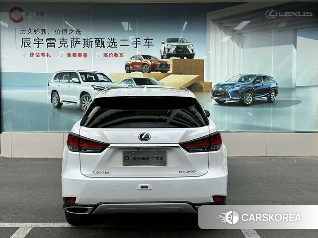 Lexus RX id 4279315 из Китая 12