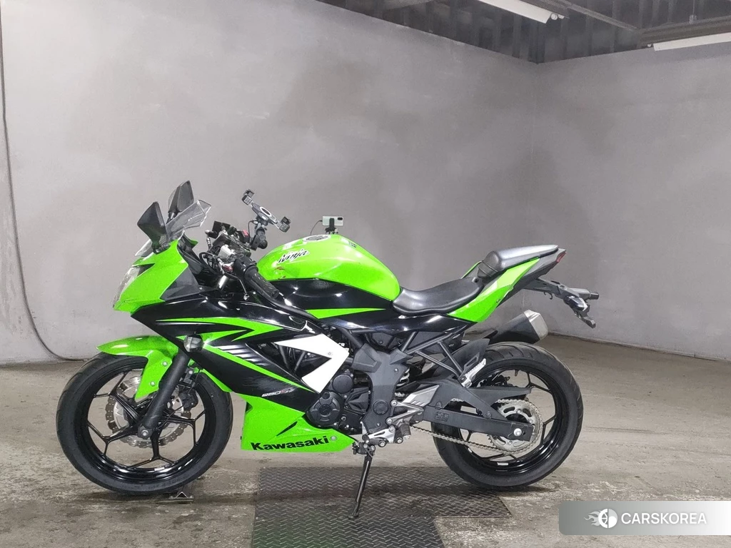 Проданный Kawasaki NINJA 250SL 2015 из Японии