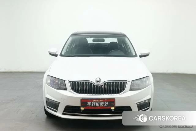 Skoda Octavia id 4254318 из Китая 12