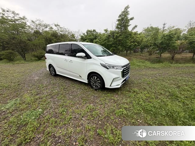 Chase G20 2020 Белый из Китая, фото 2