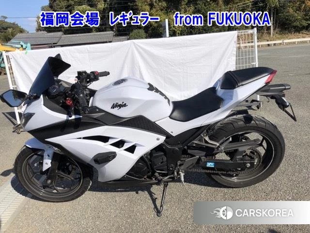 Проданный Kawasaki NINJA 250 2013 из Японии