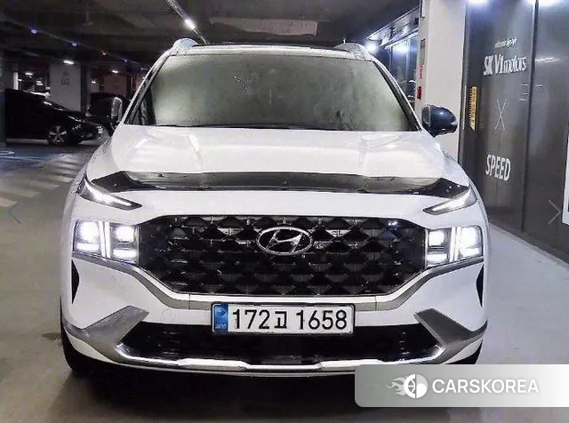 Hyundai The New Santa Fe id 3018000 из Кореи 12