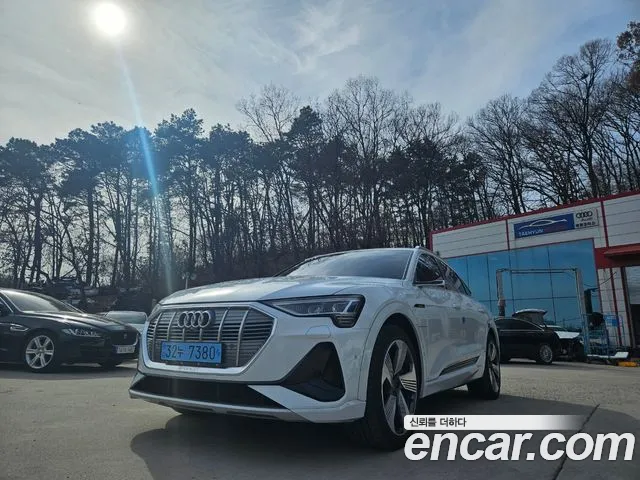 Audi e-Tron id 2507023 из Кореи 12