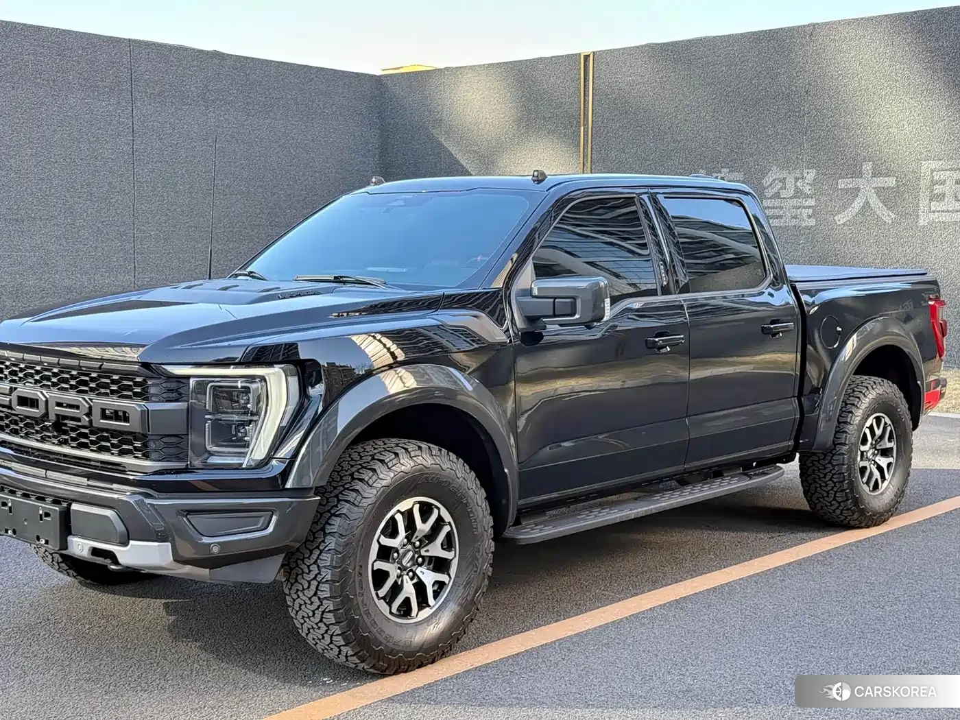 Ford F-150 Raptor id 4547227 из Китая 12