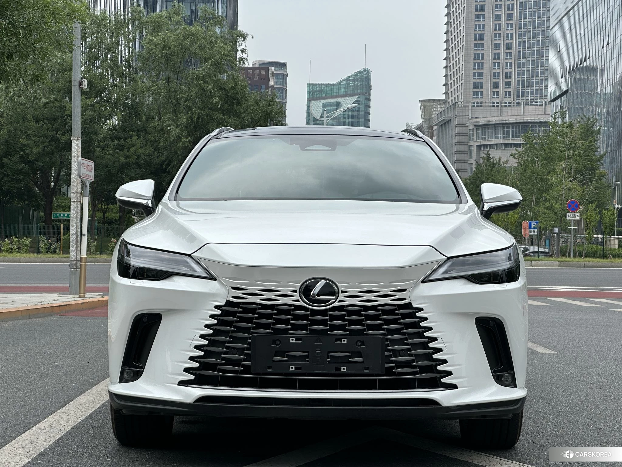 Lexus RX PHEV id 4515268 из Китая 12