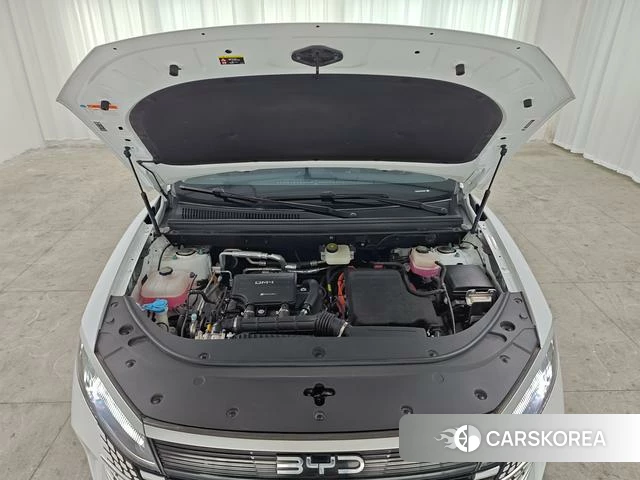 BYD Sea Lion 05DM id 3969098 из Китая 12
