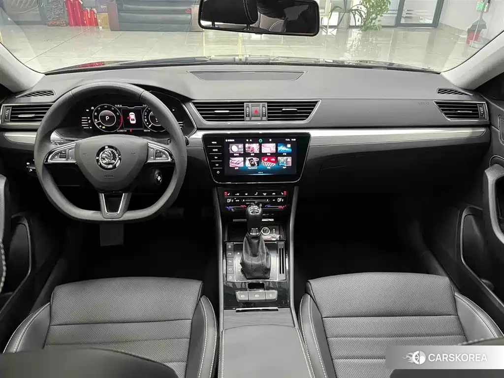 Skoda Speed pie id 4515526 из Китая 12