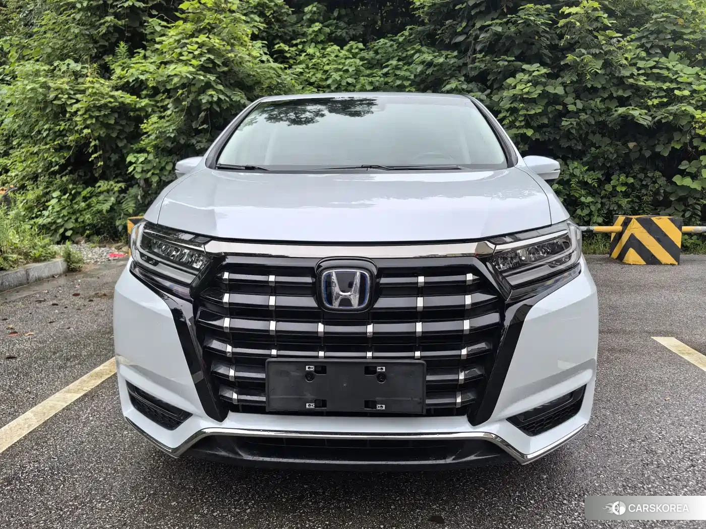 Honda Elysion id 4548064 из Китая 12