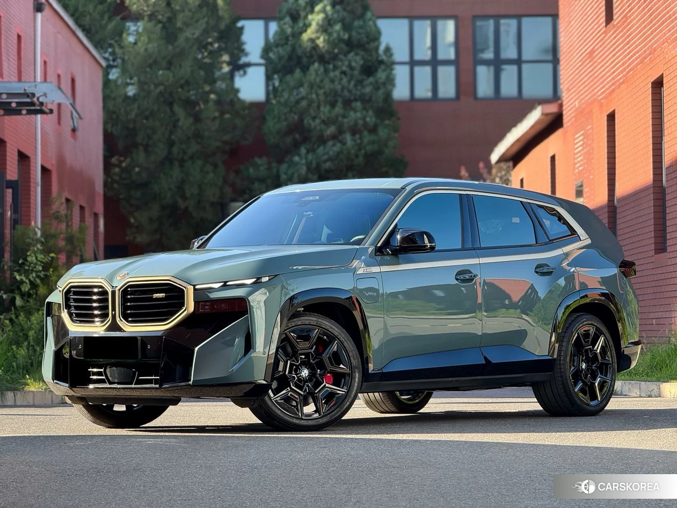 BMW XM id 4512684 из Китая 12