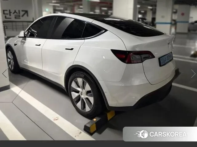 Tesla Model Y 2021 Белый из Кореи, фото 2