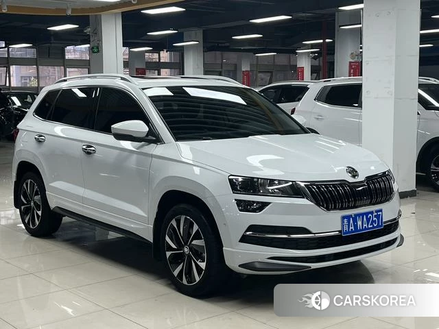 Skoda Krok 2023 Белый из Китая, фото 5