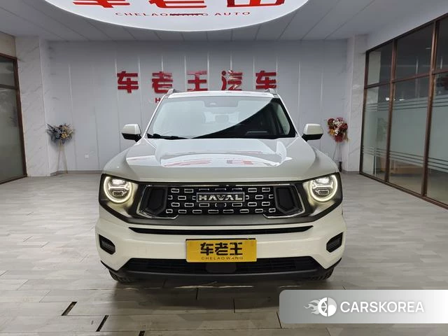 Haval Big Dog PLUS 2023 Белый из Китая, фото 2