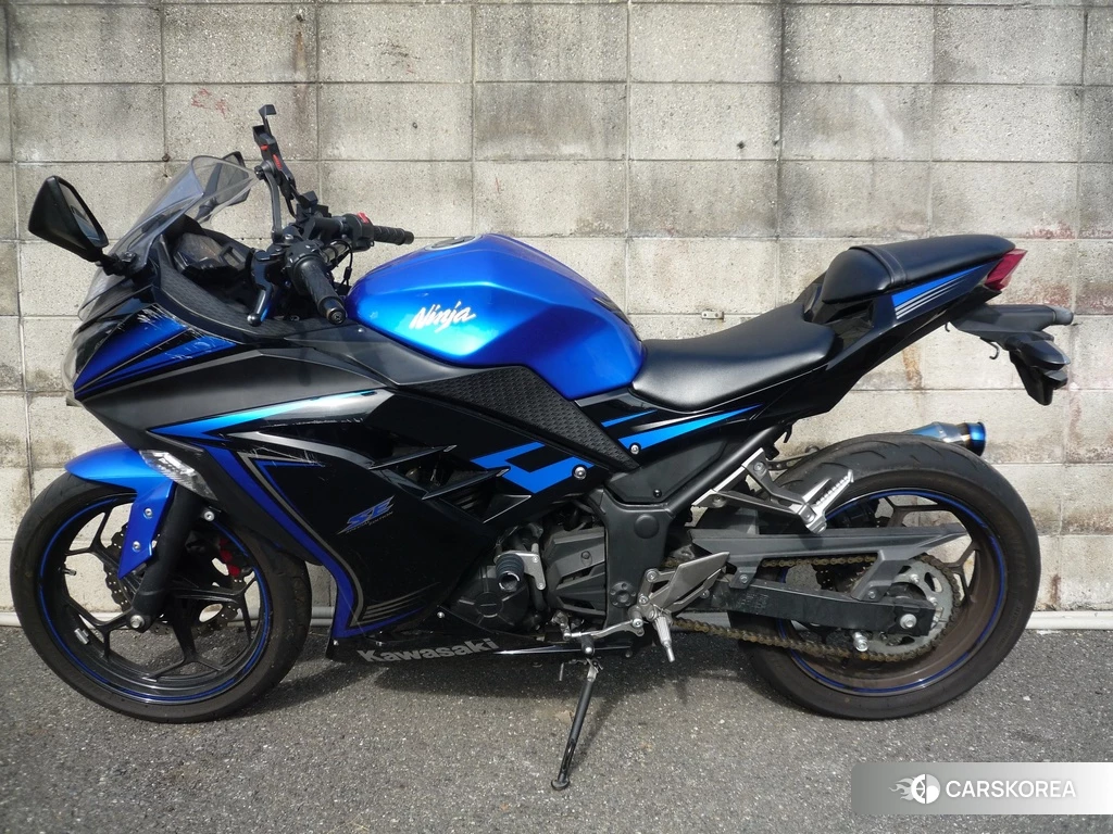 Проданный OTHER Ninja 250 SE 2015 из Японии, фото 2