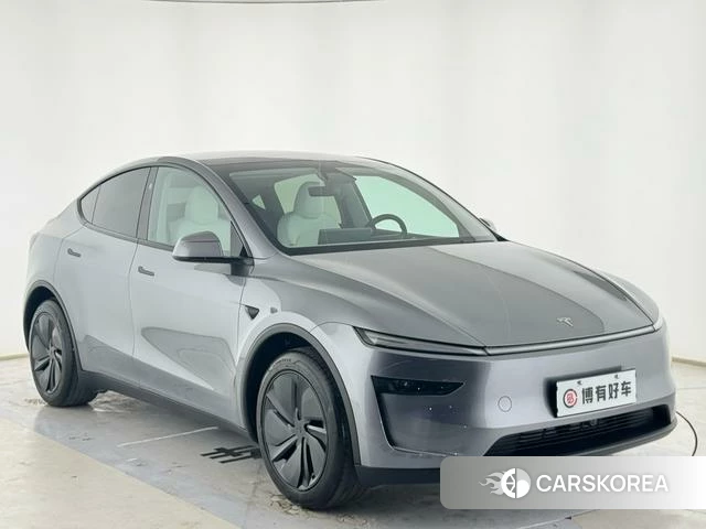 Tesla Model Y id 3920128 из Китая 8