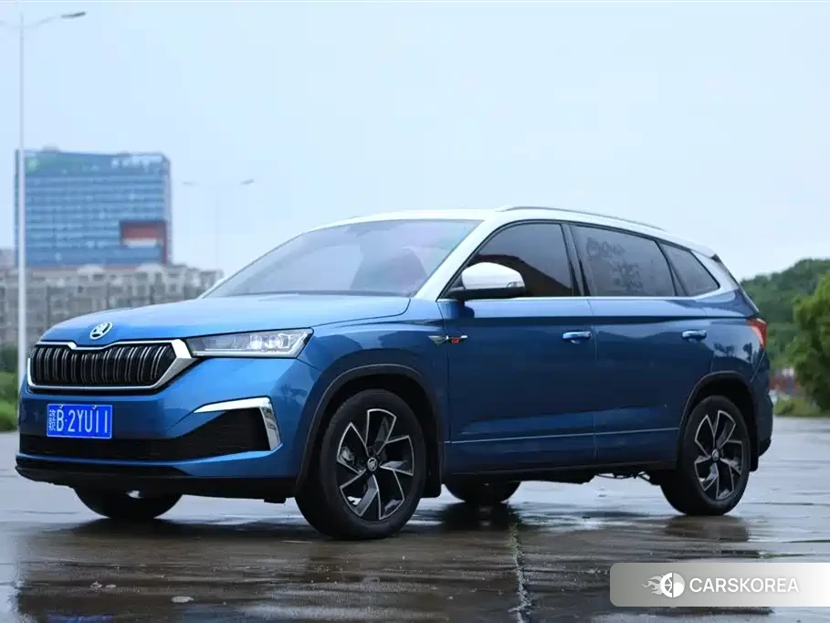 Skoda Kamiq id 4654579 из Китая 10