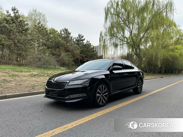 Skoda Speed pie id 3858043 из Китая 8