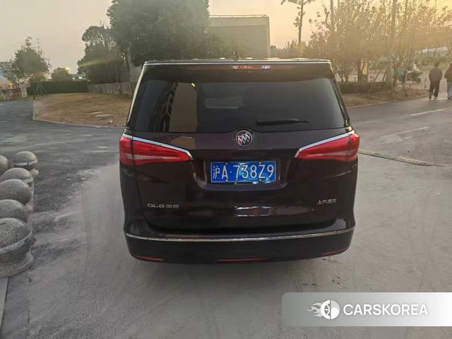 Buick GL8 2019 Коричневый из Китая, фото 5