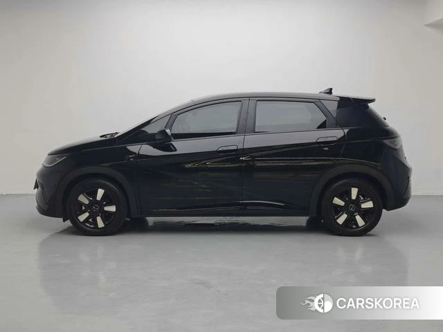 BYD dolphin id 3957663 из Китая 12