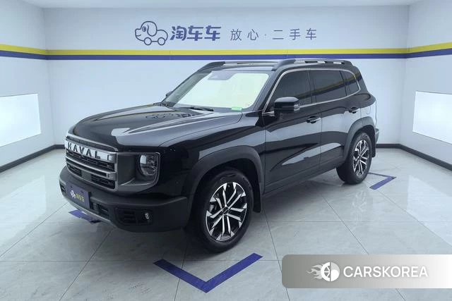 Haval Big dog id 4198779 из Китая 9