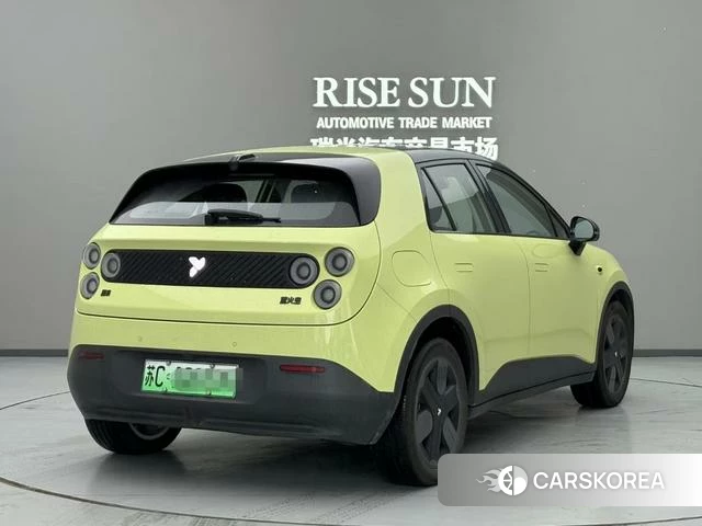 firefly firefly Unknown 2025 Зеленый из Китая, фото 2