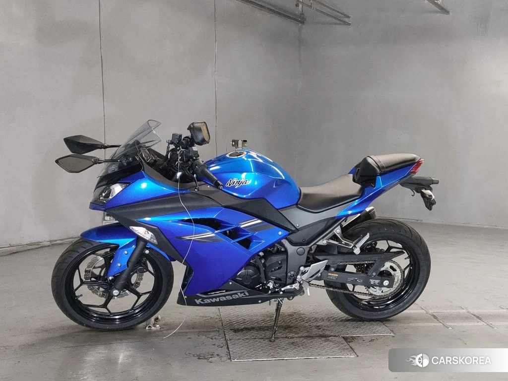 Проданный Kawasaki NINJA 250 2017 из Японии